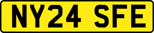 NY24SFE