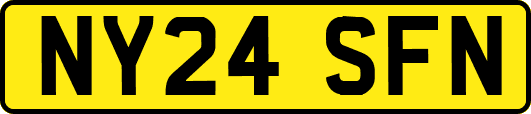 NY24SFN