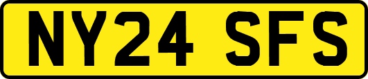 NY24SFS