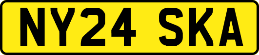 NY24SKA