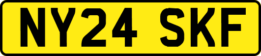 NY24SKF