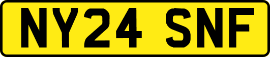 NY24SNF