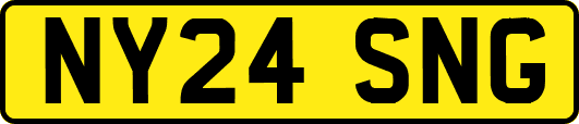 NY24SNG