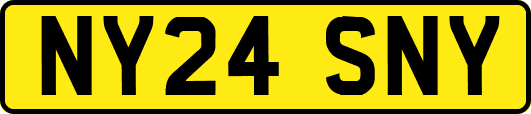 NY24SNY