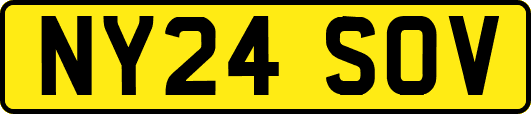 NY24SOV