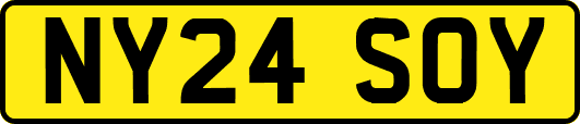 NY24SOY