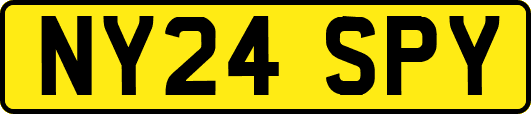 NY24SPY