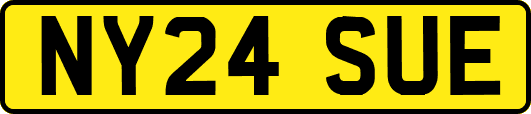 NY24SUE
