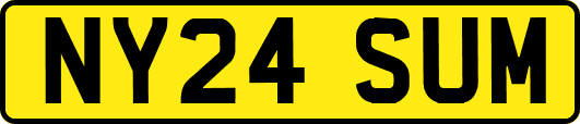 NY24SUM