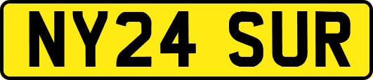 NY24SUR
