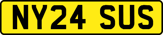 NY24SUS