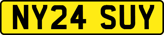 NY24SUY