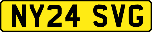 NY24SVG