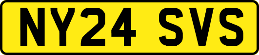 NY24SVS