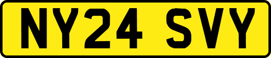 NY24SVY