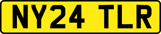 NY24TLR