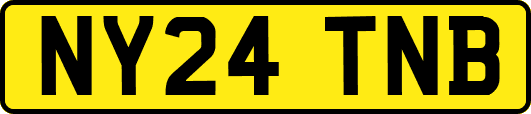 NY24TNB