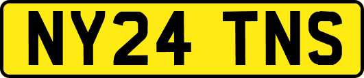 NY24TNS