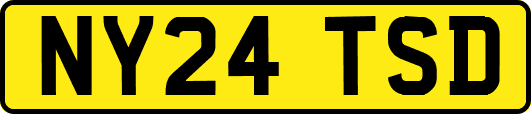 NY24TSD