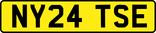 NY24TSE