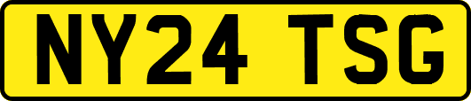 NY24TSG
