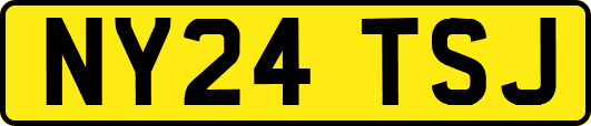 NY24TSJ