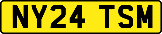 NY24TSM