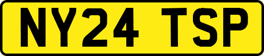NY24TSP