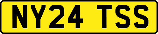 NY24TSS