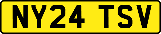 NY24TSV
