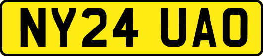 NY24UAO