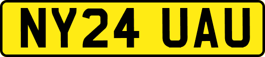 NY24UAU