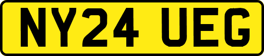 NY24UEG