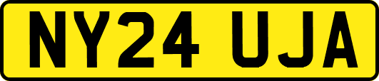 NY24UJA
