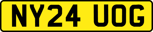 NY24UOG