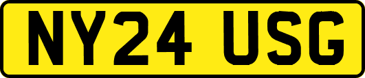 NY24USG