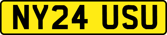 NY24USU