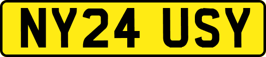 NY24USY