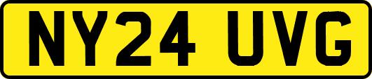 NY24UVG