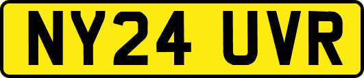 NY24UVR