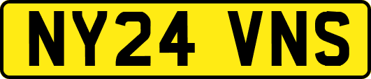 NY24VNS