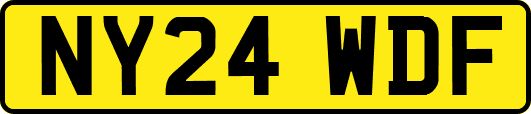 NY24WDF