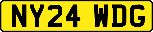 NY24WDG