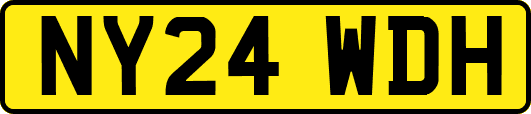 NY24WDH