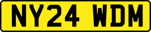 NY24WDM
