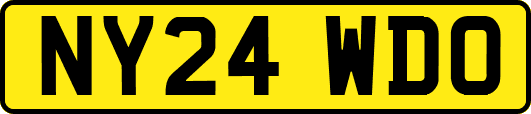 NY24WDO
