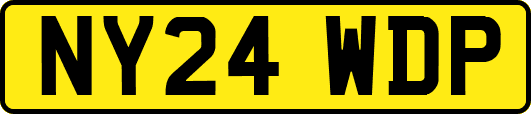 NY24WDP