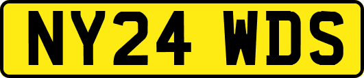 NY24WDS