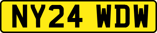 NY24WDW