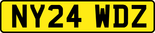 NY24WDZ